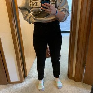 Everlane Black Corduroy Pants